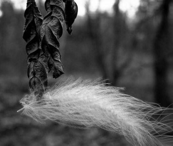 Любовь женская...