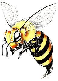 Мир в чёрную и жёлтую полосу