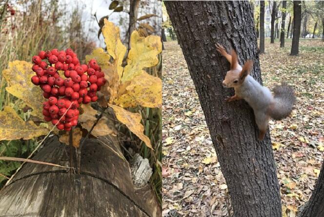 Осенняя зарисовка