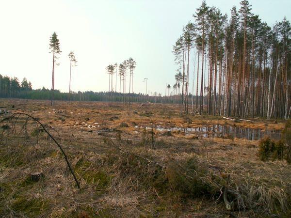 Мать-земля не нужна больше людям...
