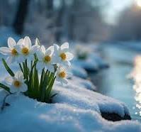 ХОЛОДНАЯ ВЕСНА