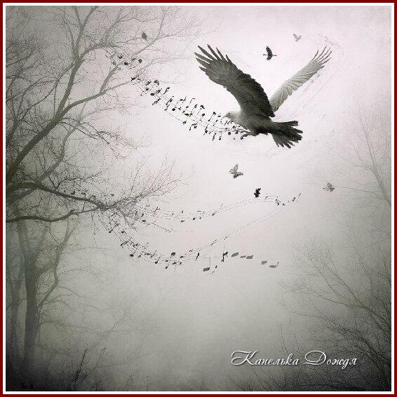 Поэзия любви