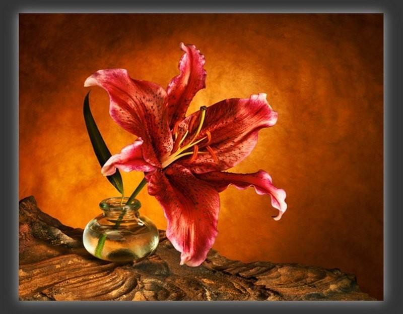 Томление любви