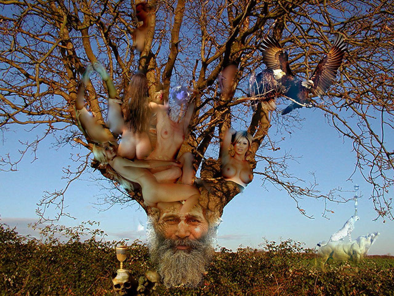 ТРЕЗВЫЕ МЫСЛИ 2