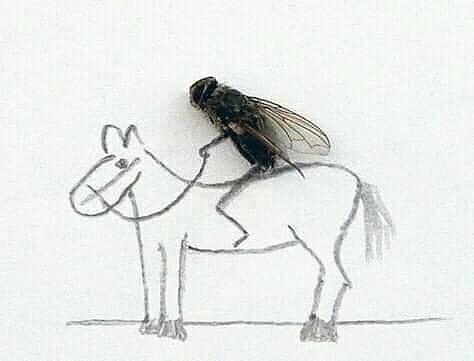 То рысью, то галопом