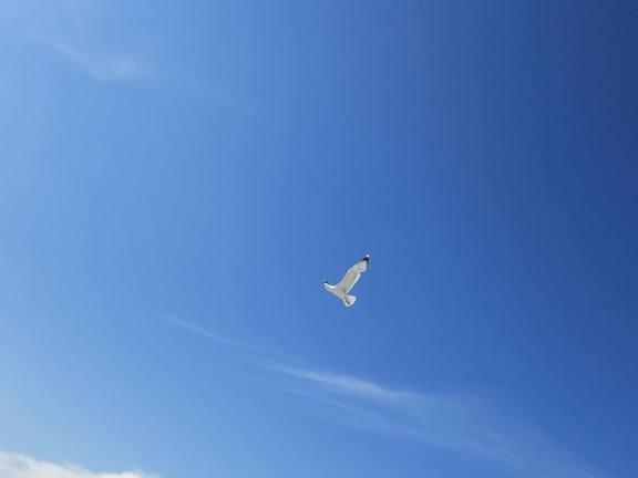 Все на свете не напрасно