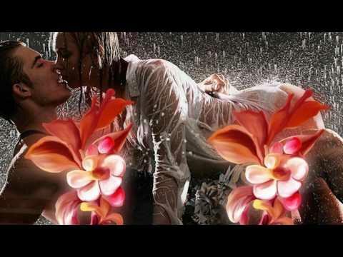 Укрощённый