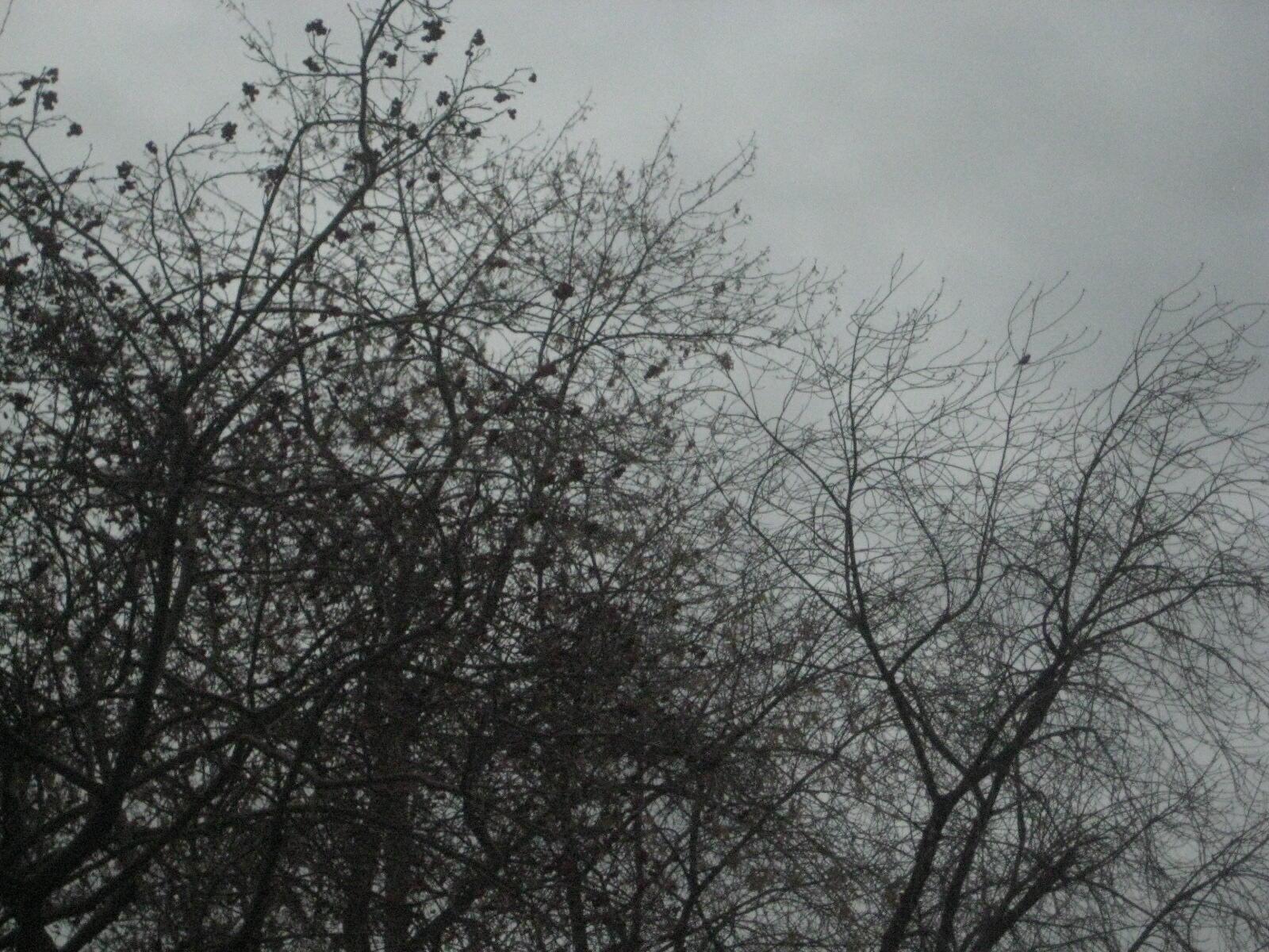 Тяжесть ноября