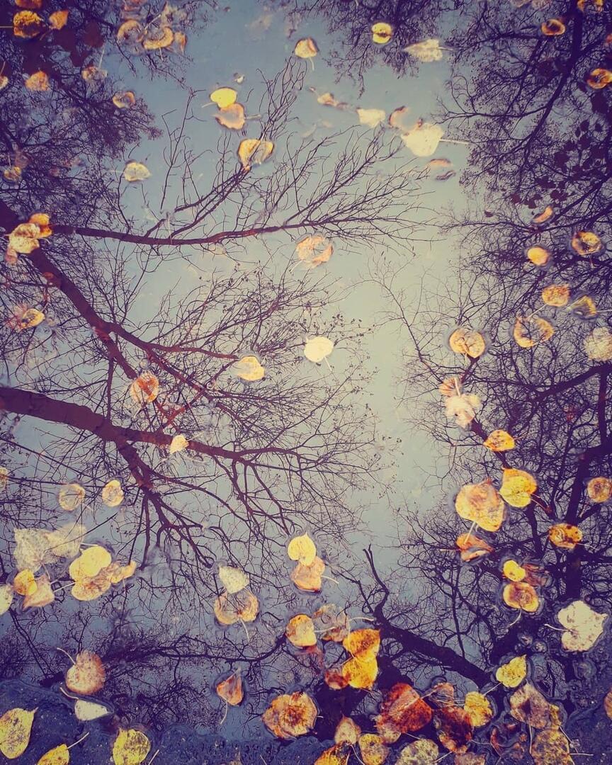 "Я говорю..." (21.11.2020)