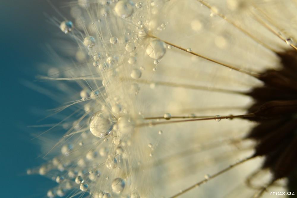 «Сквозь рассветы»