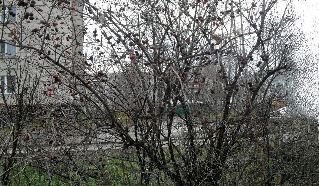 РАЗМЫШЛЕНИЯ