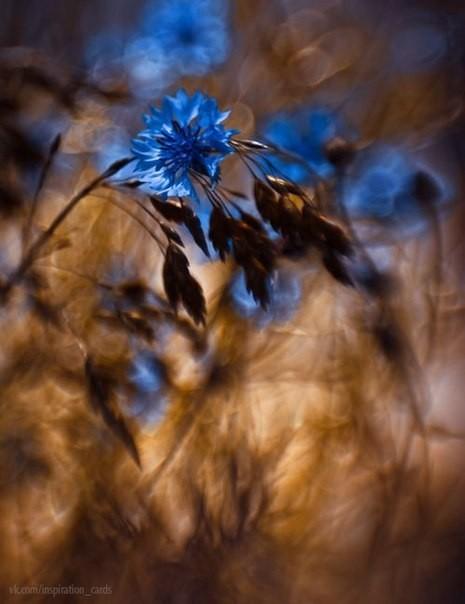 теория счастья