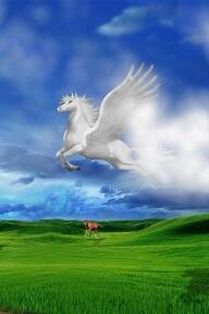 Стихи-приправы