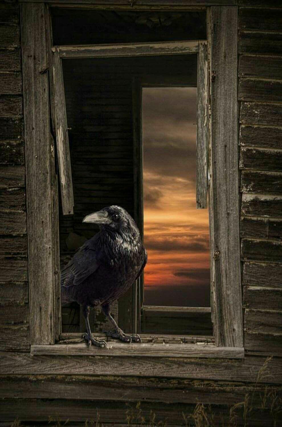 Падает небо...