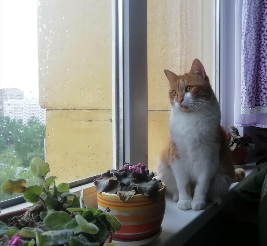 Майская феерия