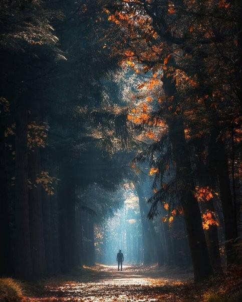 Мы сами сгущаем краски