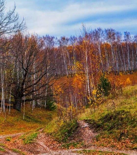 Ну здравствуй, осень!