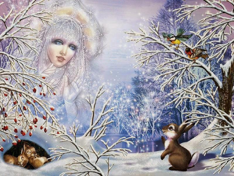 Мы ждали зиму