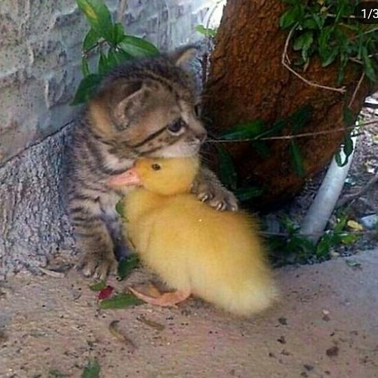 ⚫Верните в моду Доброту!⚫