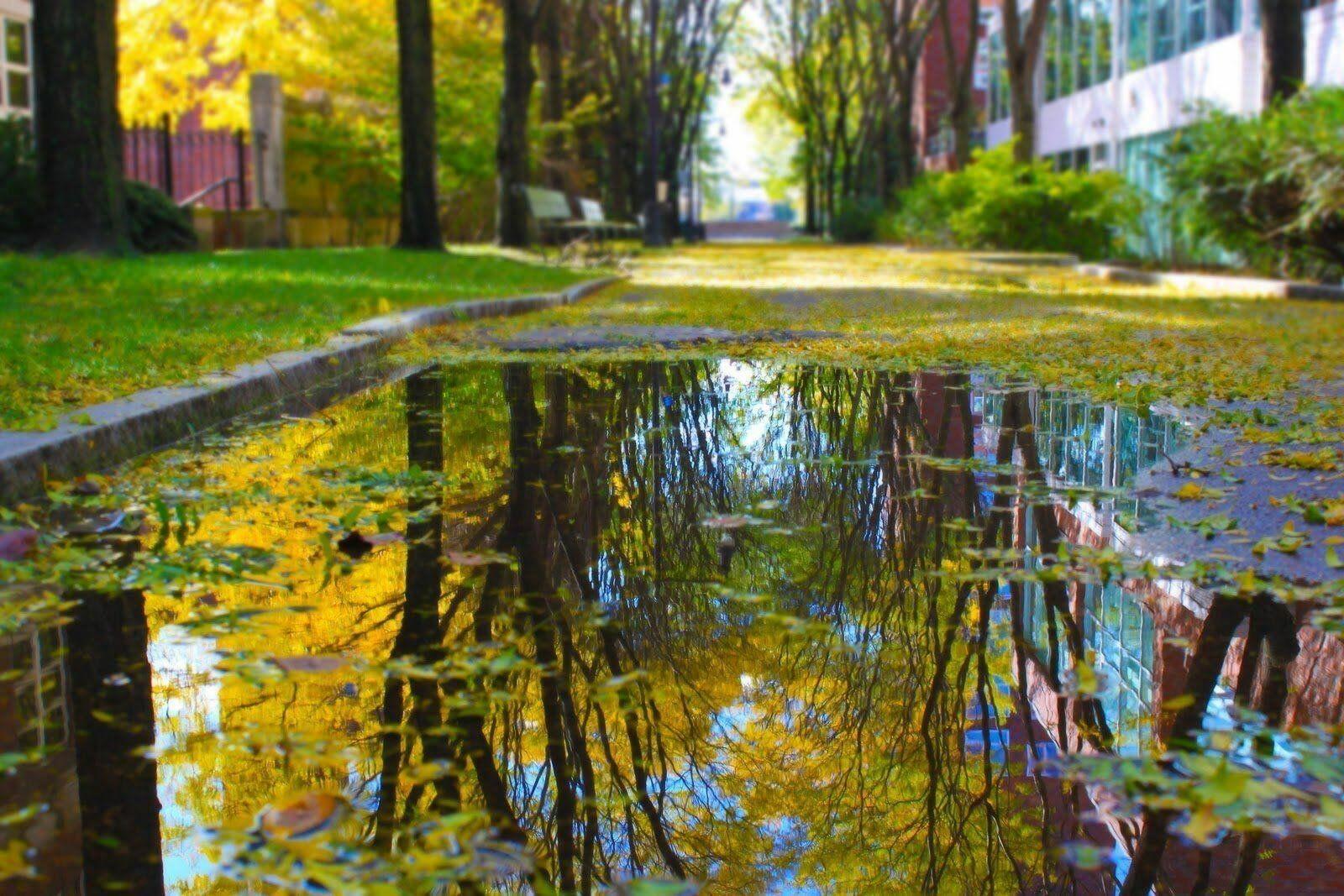 ❤️  ОСЕНЬ  ДИВНО  ОТРАЖАЕТСЯ
