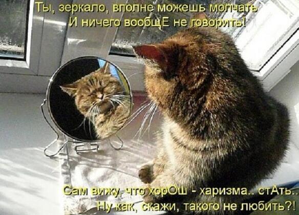 Снова март на дворе. Акро 2