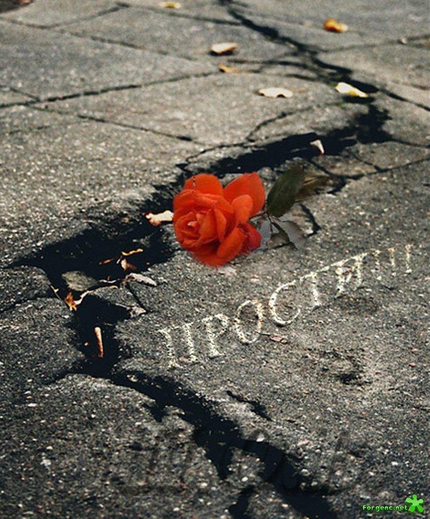 Как глупо все, как глупо получилось...