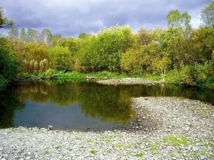 ИЮЛЬСКИЙ ПОЛДЕНЬ