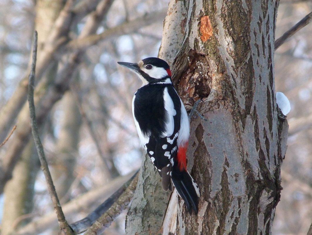 Середина лета