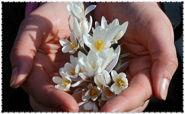 Ответ поэту - Киреев Леонид - Признание женщинам