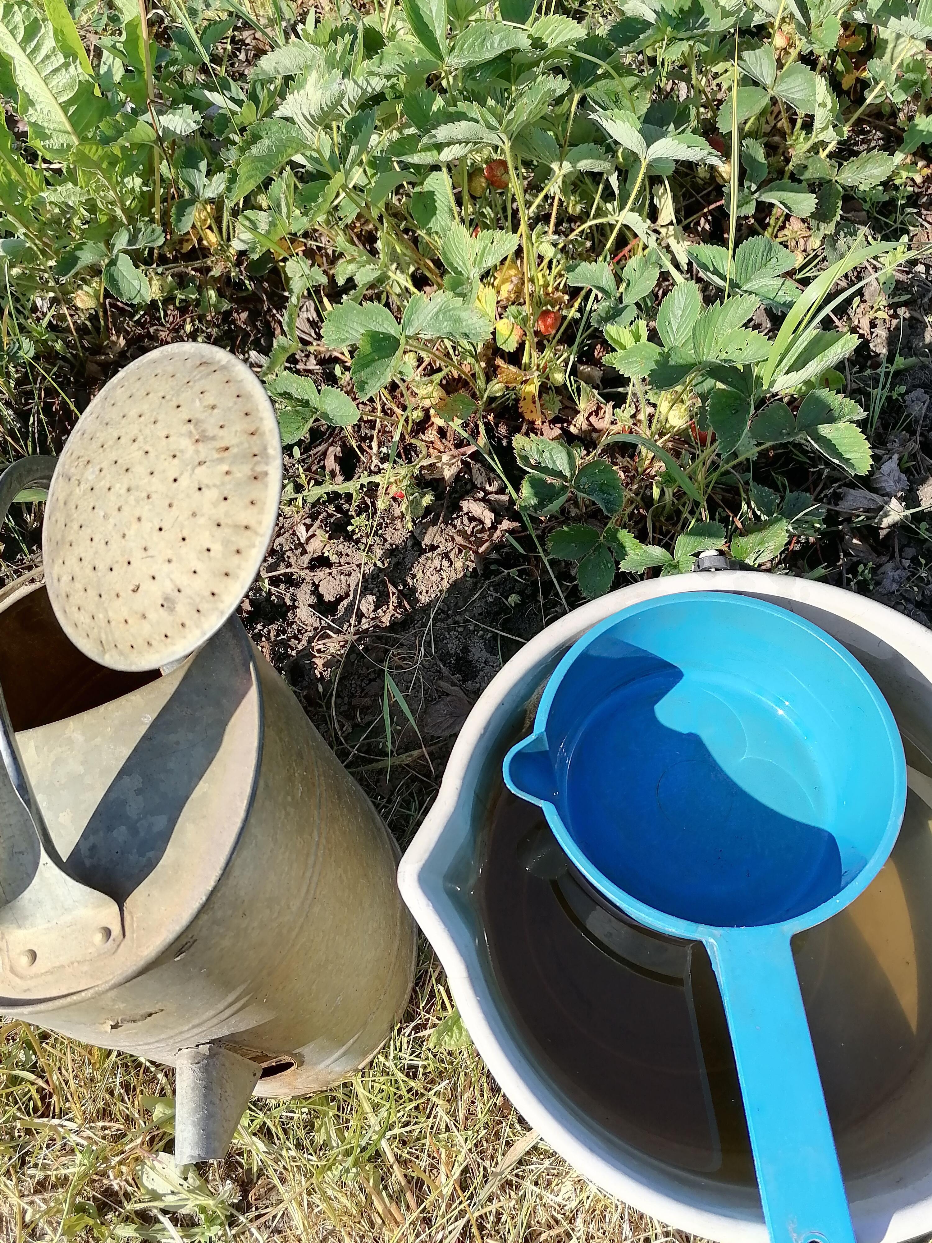 Вместо лейки 