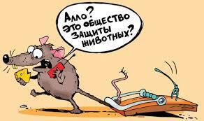 так хотелось верить в хорошее