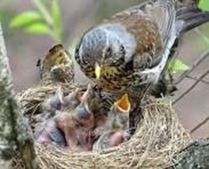 СТИХИ ДЕТЯМ_6