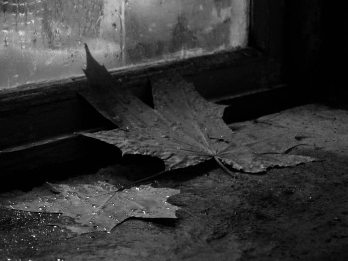 Расплющенные чувства