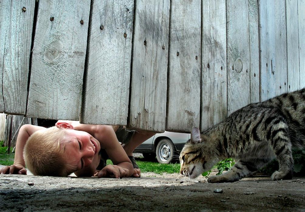 Неудавшийся полёт.