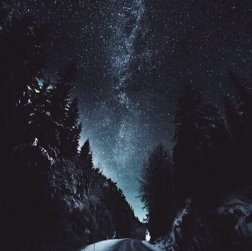 Летняя ночь