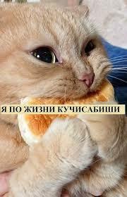 Кучисабиши. ДвуХстишье