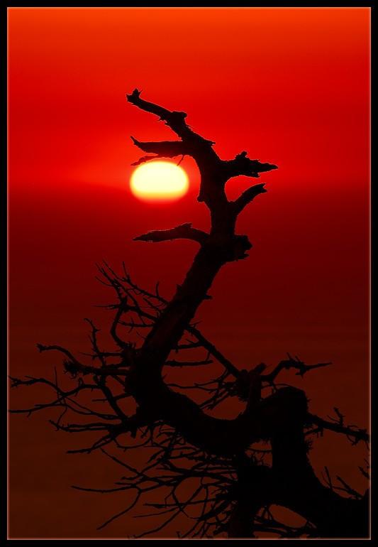 УТРЕННЕ ЧУДО