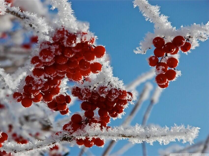 Февраль