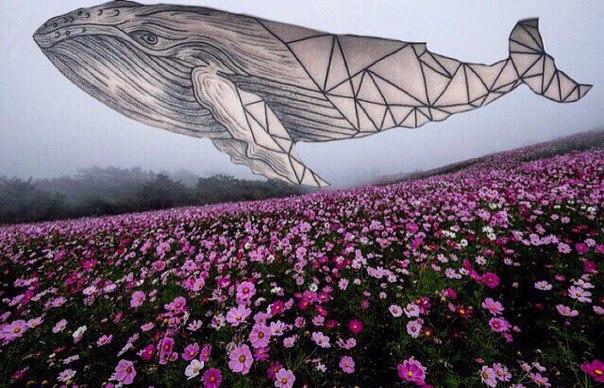 зима - самая тёплая пора года