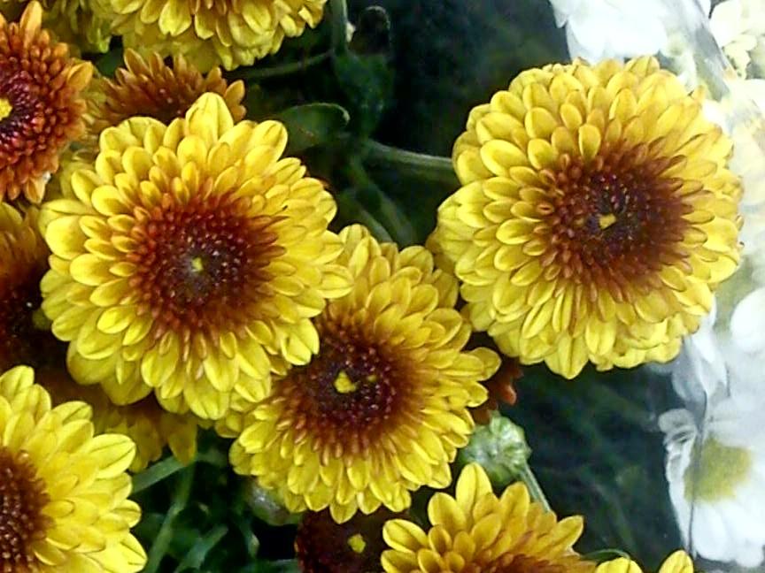 Притчи, глава 30 - перевод с иврита