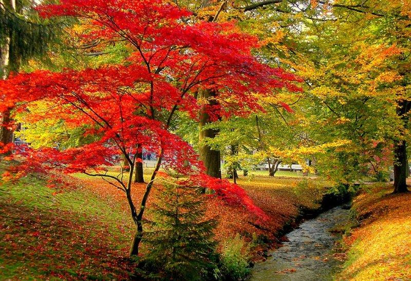 "Где та суть?"