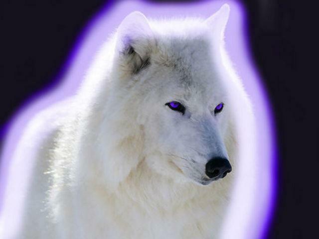 Пацан рождённый Петровской, тёмной ночью.