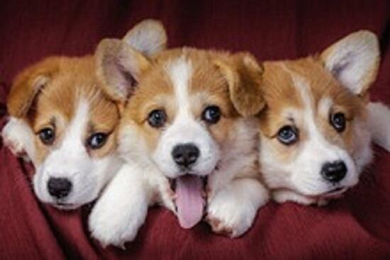 У автовокзала