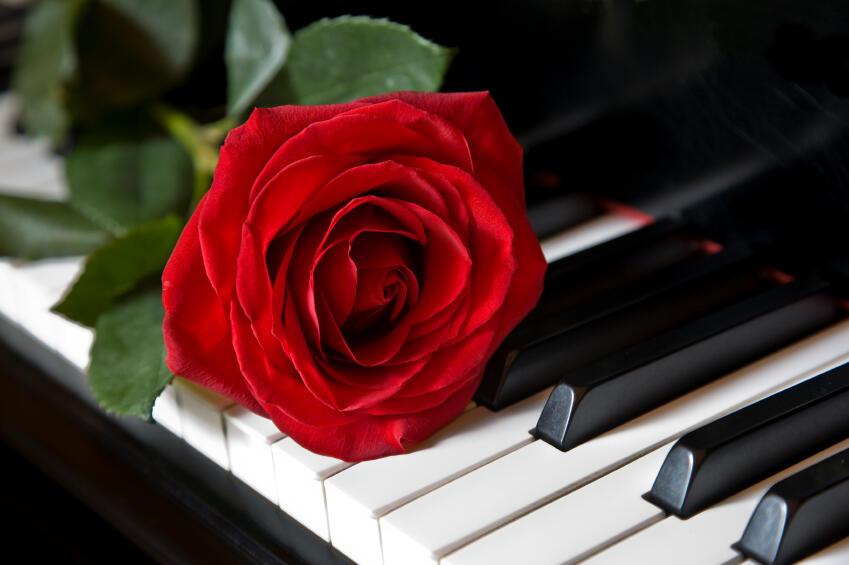 Сегодня выпью красного вина...