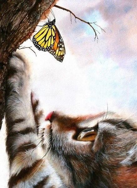 Серия... Диалоги с...Миром. Кошки.