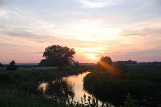 Всяко в жизни может
