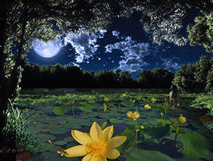 Где-то пес в подворотне грызет...