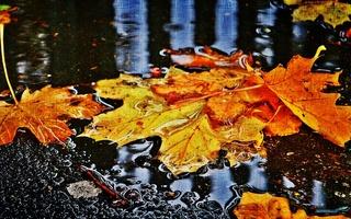 Осенний замок