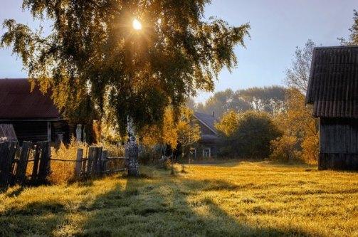 Городская изморозь взглядов