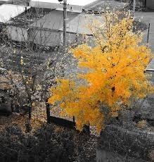 Осенний пейзаж!